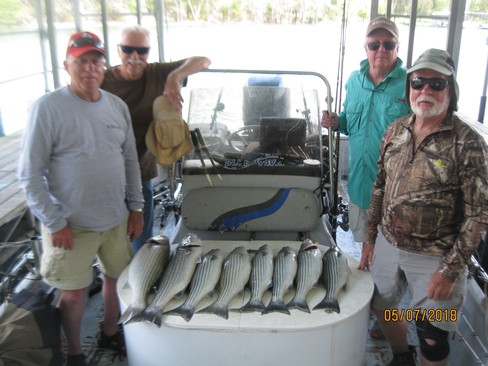 Nice Striped Bass